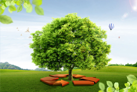北京林业大学（联合全国10所林业类院校）  ----生态学人e行动计划